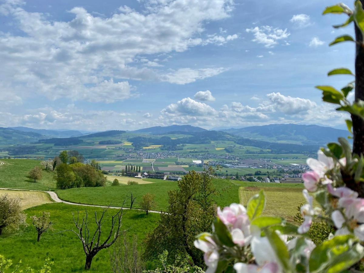 Rosenhuesli Daire Gerzensee Dış mekan fotoğraf
