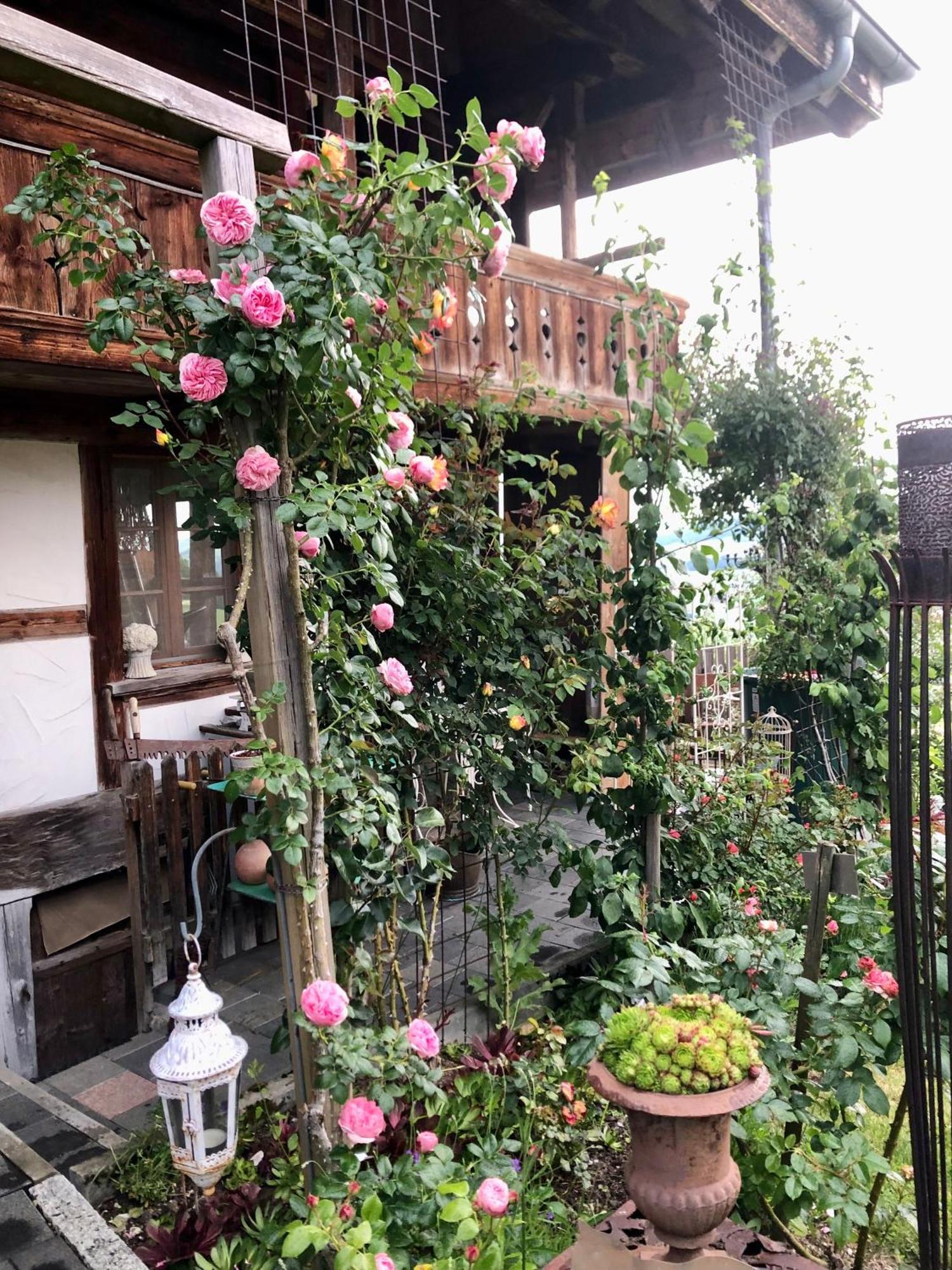 Rosenhuesli Daire Gerzensee Dış mekan fotoğraf